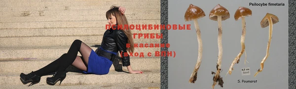 твердый Богородск