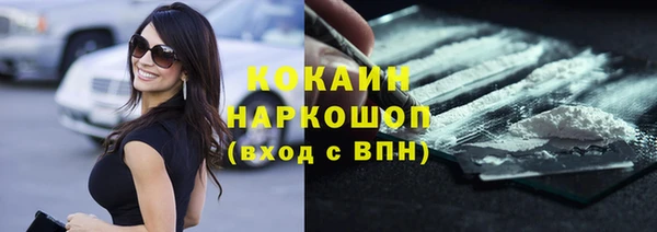твердый Богородск