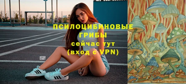 твердый Богородск