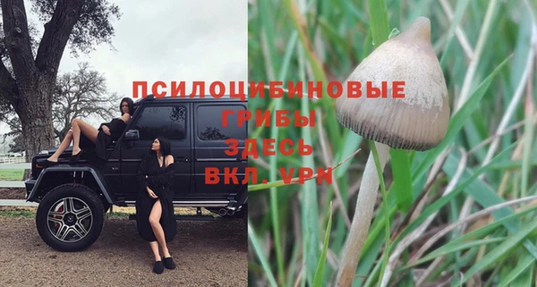 кокаин Богданович