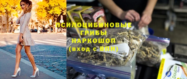 тгк Богородицк