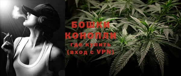 тгк Богородицк