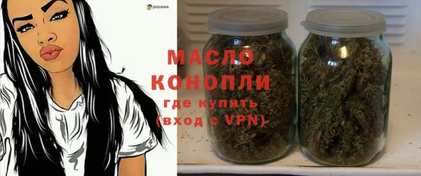 тгк Богородицк