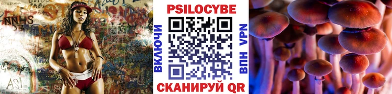 Псилоцибиновые грибы Psilocybine cubensis  как найти закладки  OMG ТОР  Монино 