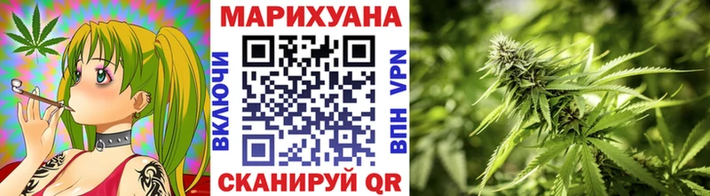 магазин продажи наркотиков  Монино  Шишки марихуана конопля 